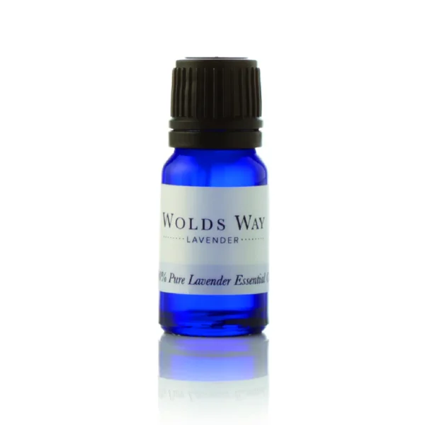 Lavender Essential Oil | 10ml - Image 2