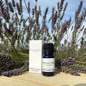 Lavender Essential Oil | 10ml