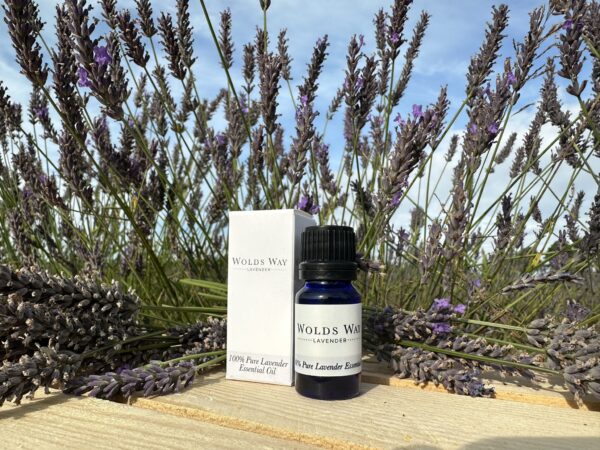 Lavender Essential Oil | 10ml